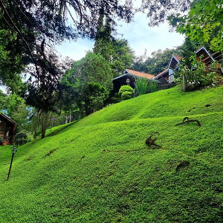 Pássaro de Fogo Santo Antônio do Pinhal Exterior foto