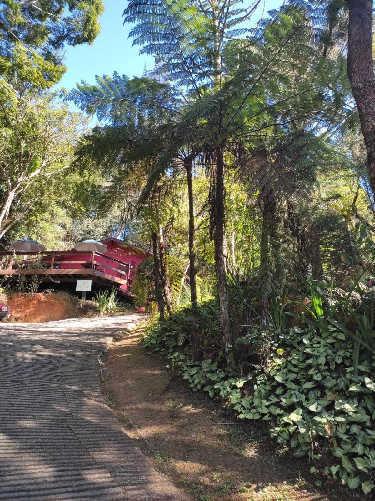 Pássaro de Fogo Santo Antônio do Pinhal Exterior foto