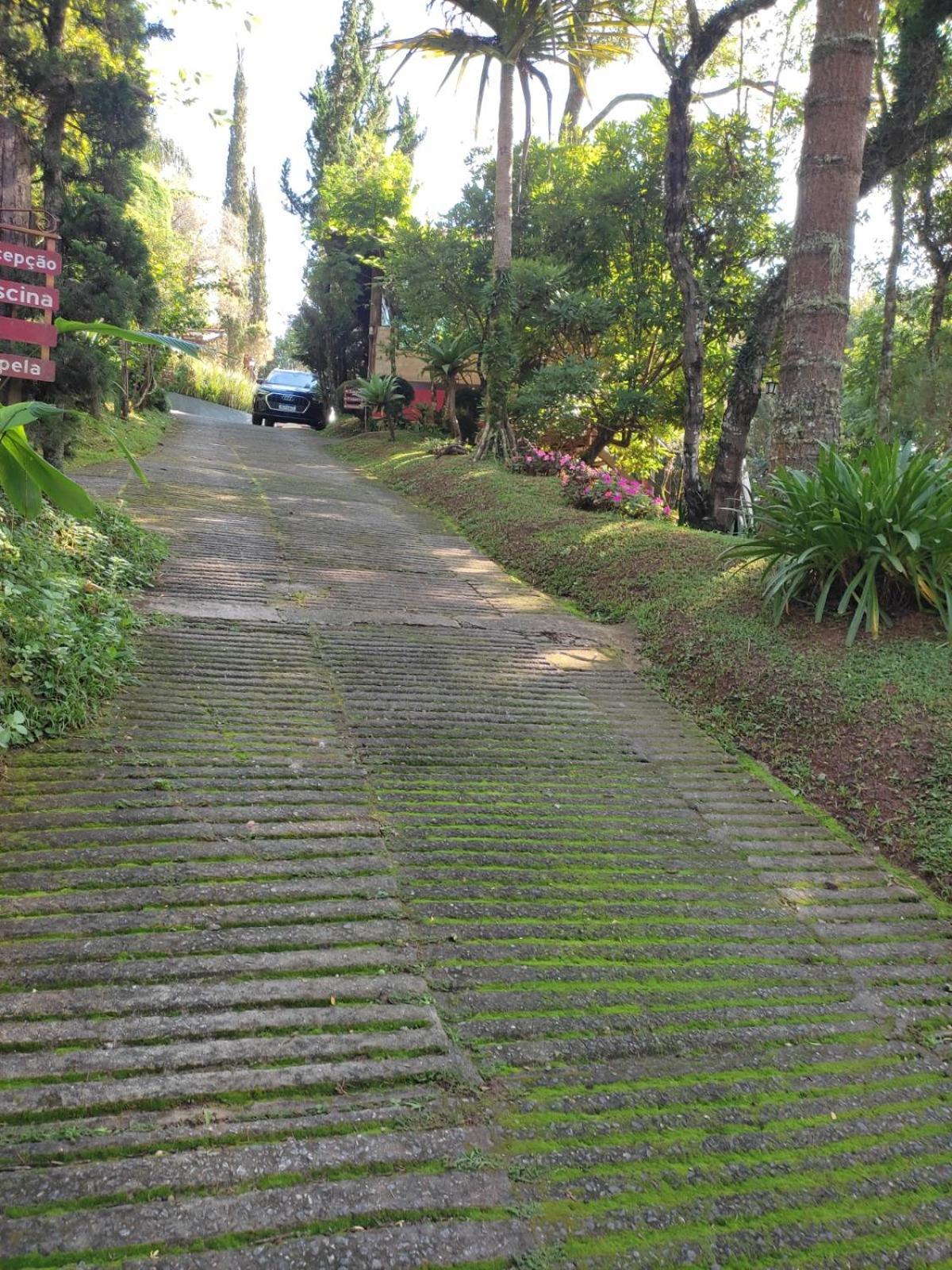 Pássaro de Fogo Santo Antônio do Pinhal Exterior foto