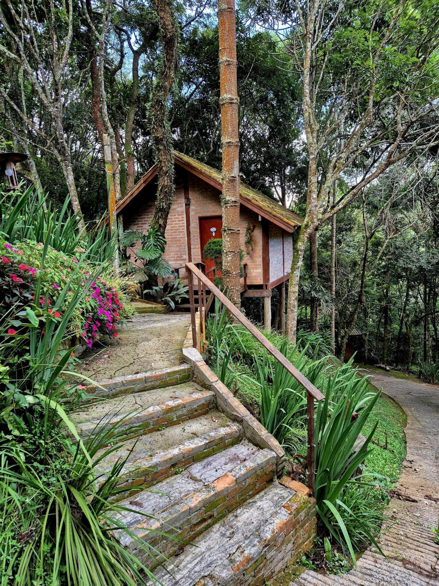 Pássaro de Fogo Santo Antônio do Pinhal Exterior foto