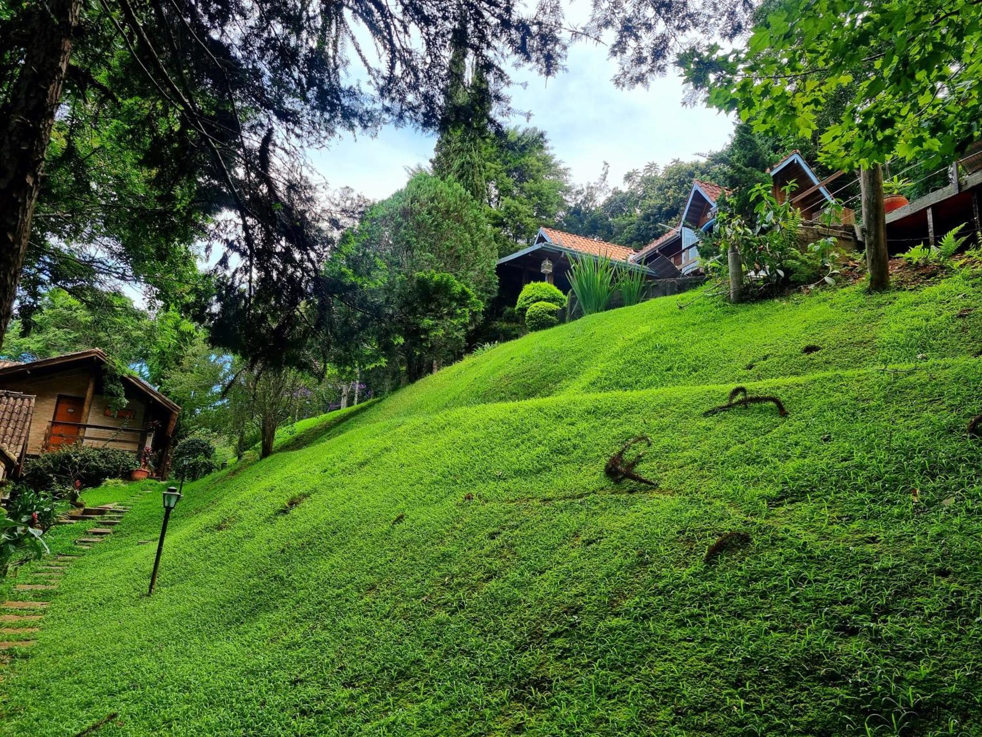 Pássaro de Fogo Santo Antônio do Pinhal Exterior foto