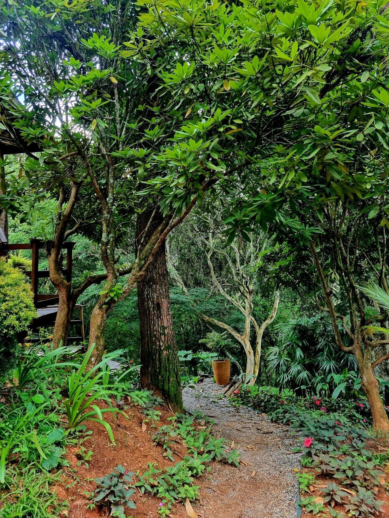 Pássaro de Fogo Santo Antônio do Pinhal Exterior foto