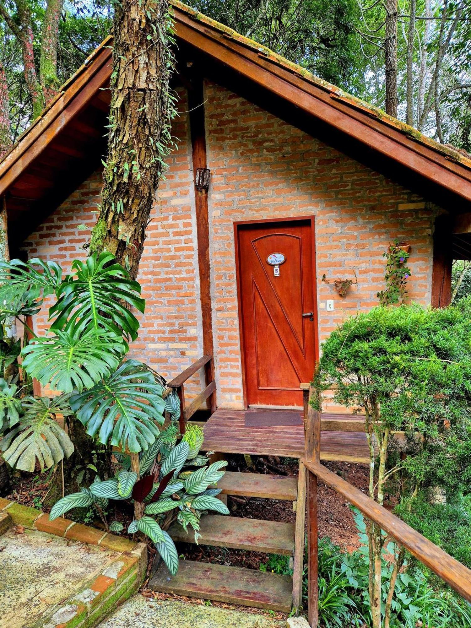 Pássaro de Fogo Santo Antônio do Pinhal Exterior foto