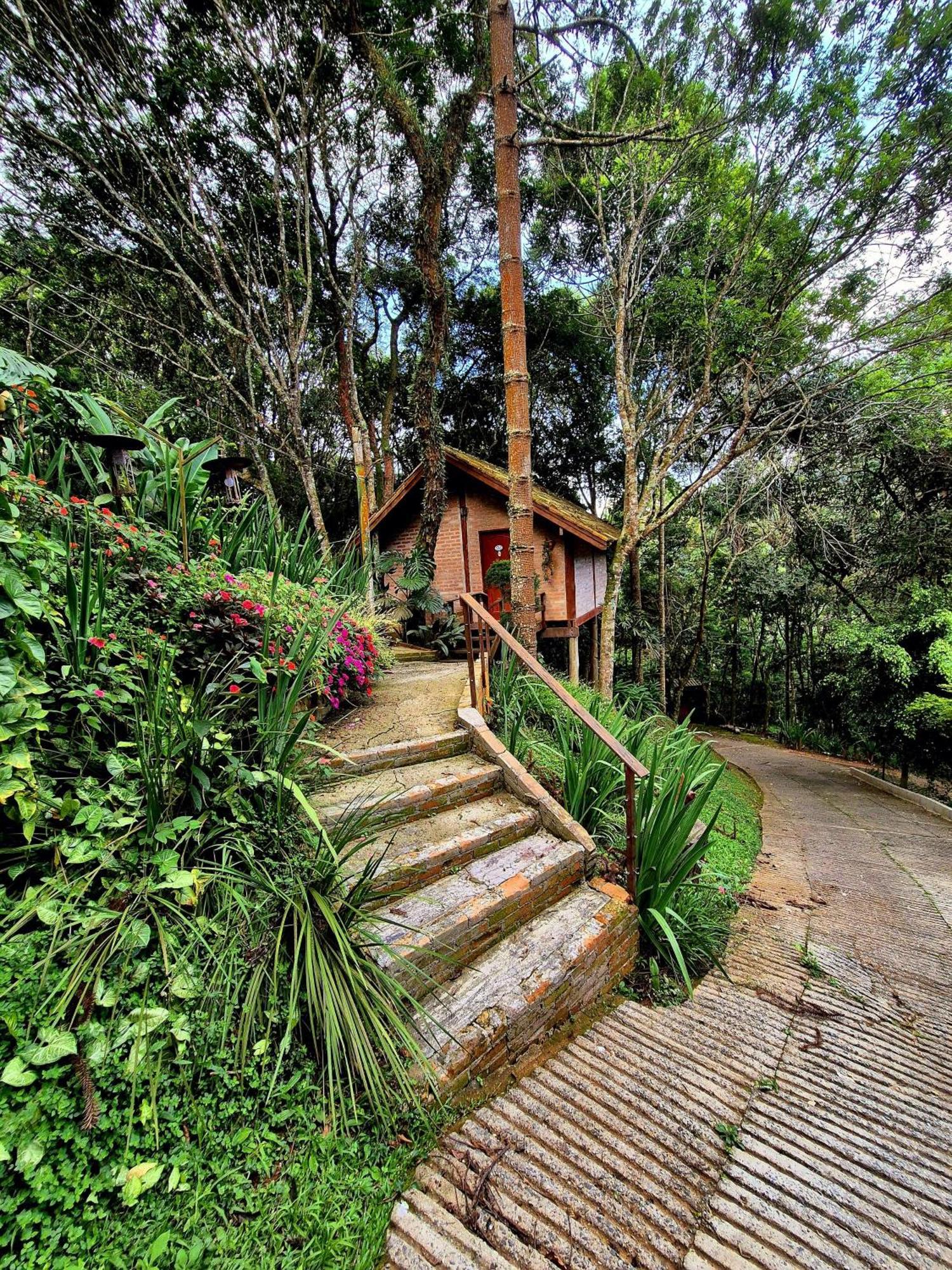 Pássaro de Fogo Santo Antônio do Pinhal Exterior foto