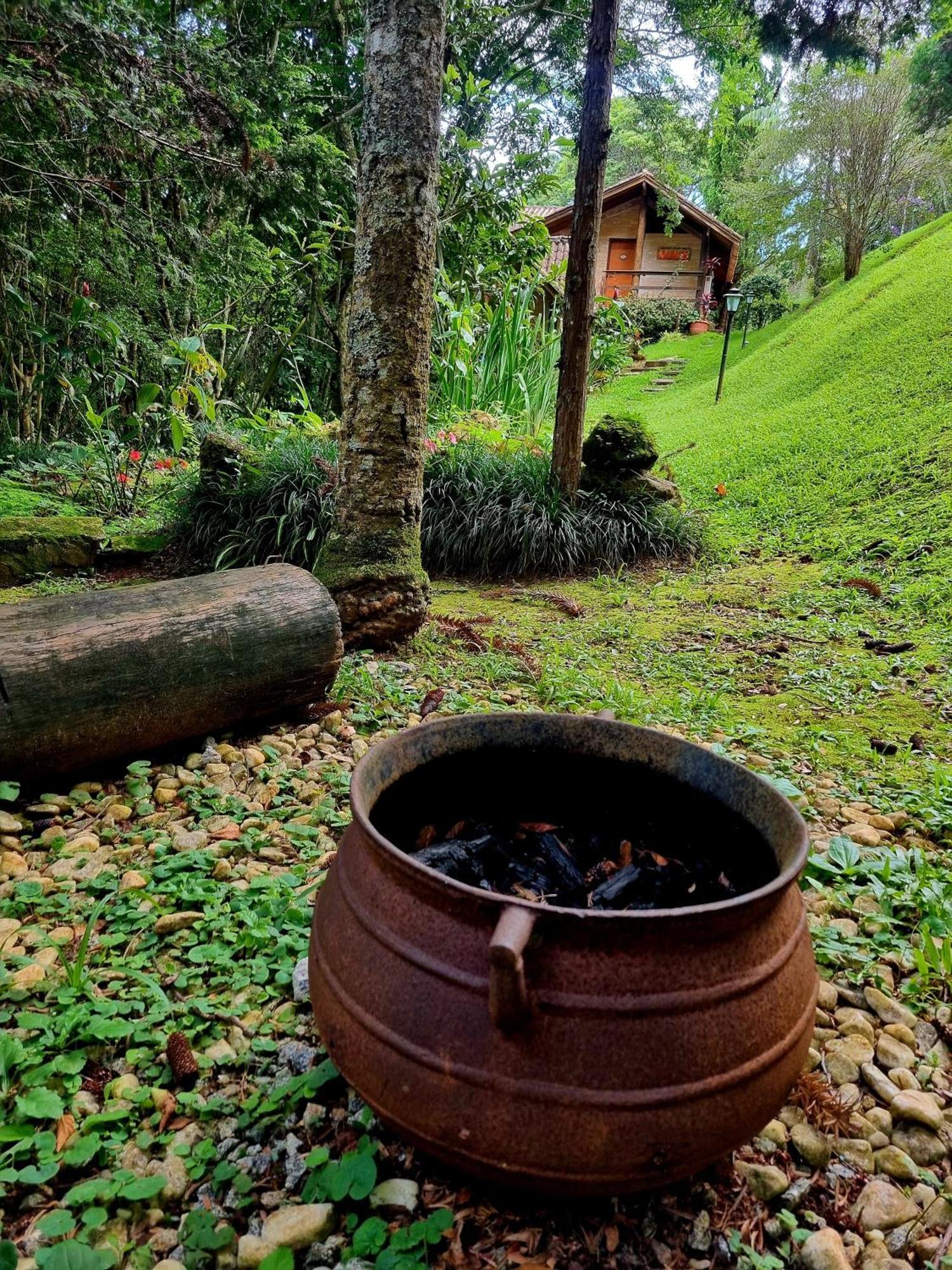 Pássaro de Fogo Santo Antônio do Pinhal Exterior foto