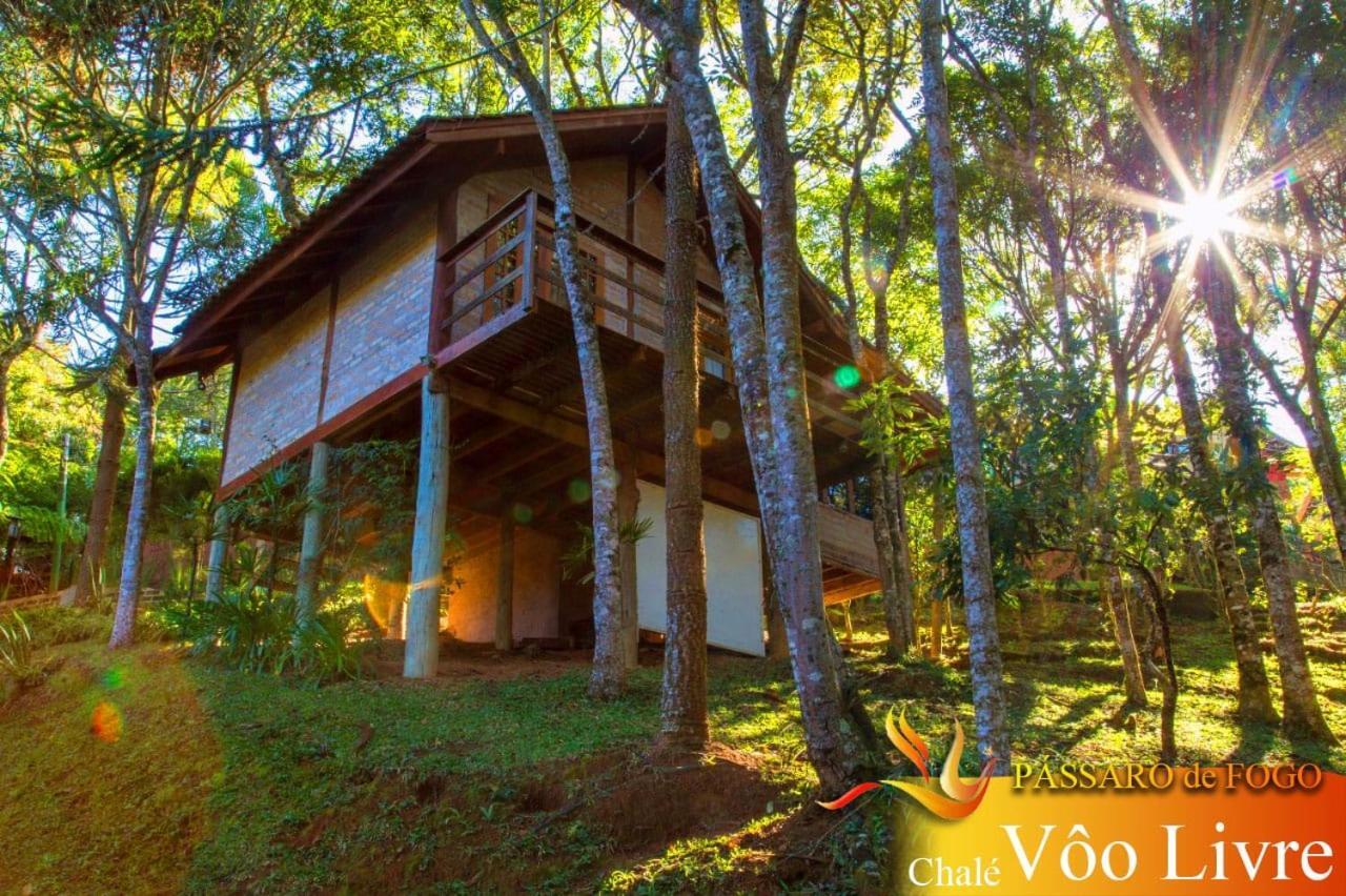 Pássaro de Fogo Santo Antônio do Pinhal Exterior foto